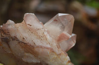 Natural Hematoid Quartz Specimens  x 4 From Zimbabwe - TopRock