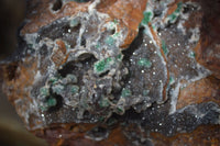 Natural Drusy Coated Ball Malachite On Dolomite Specimen x 1 From Likasi, Congo