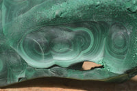 Natural Large Chatoyant Silky Malachite Specimen x 1 From Kasompe, Congo - Toprock Gemstones and Minerals 