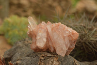 Natural Gorgeous Selection Of Quartz Specimens  x 6 From Zambia - TopRock