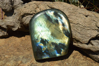 Polished Labradorite Standing Free Forms With Intense Blue & Gold Flash x 3 From Sakoany, Madagascar - TopRock