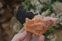 Natural New Sunset Orange Calcite Specimens  x 6 From Spitzkop, Namibia