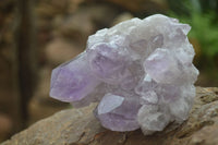 Natural Jacaranda Amethyst Clusters  x 3 From Mumbwa, Zambia - Toprock Gemstones and Minerals 