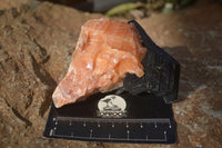 Natural New Sunset Orange Calcite Specimens  x 6 From Spitzkop, Namibia