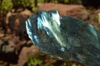 Polished Labradorite Standing Free Forms With Blue & Gold Flash  x 2 From Tulear, Madagascar - TopRock