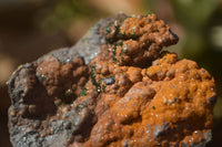 Natural Drusy Coated Dolomite With Hematite & Libethenite Specimens  x 4 From Congo