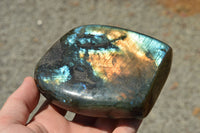 Polished Labradorite Standing Free Forms With Intense Blue & Gold Flash x 3 From Sakoany, Madagascar - TopRock