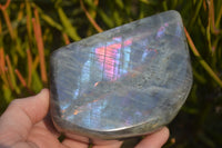 Polished Rare Purple Flash Labradorite Standing Free Forms x 2 From Tulear, Madagascar