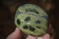 Polished  Green Leopard Stone Free Forms  x 6 From Zimbabwe