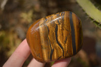 Polished Golden Tigers Eye Free Forms x 12 From Prieska, Northern Cape