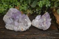 Natural Jacaranda Amethyst Clusters  x 2 From Zambia - Toprock Gemstones and Minerals 