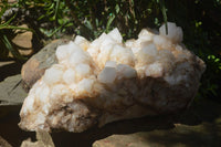 Natural Extra Large White Phantom Pineapple Quartz Cluster  x 1 From Madagascar - Toprock Gemstones and Minerals 