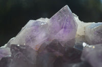 Natural Jacaranda Amethyst Cluster x 1 From Zambia - Toprock Gemstones and Minerals 