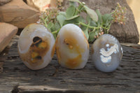 Polished Agate Standing Free Forms x 3 From Madagascar