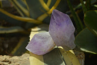 Natural Single Jacaranda Amethyst Crystals x 12 From Mumbwe, Zambia