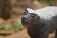 Polished Soap Stone Honey Badger Carving - Sold per piece - From Zimbabwe - TopRock