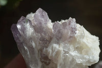 Natural Sugar Amethyst Clusters  x 12 From Zambia - Toprock Gemstones and Minerals 