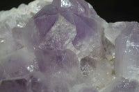 Natural Jacaranda Amethyst Clusters  x 2 From Zambia - Toprock Gemstones and Minerals 