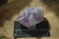 Natural Single Jacaranda Amethyst Crystals x 12 From Mumbwe, Zambia