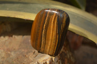 Polished Golden Tigers Eye Free Forms x 12 From Prieska, Northern Cape