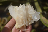 Natural Clear Quartz Clusters & Crystals  x 12 From Madagascar