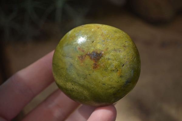 Polished Green Opal Palm Stones  x 12 From Antsirabe, Madagascar - Toprock Gemstones and Minerals 