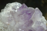 Natural Jacaranda Amethyst Clusters  x 2 From Zambia - Toprock Gemstones and Minerals 