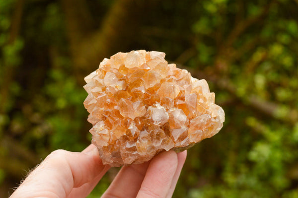 Natural Mixed Spirit Quartz Clusters  x 12 From Boekenhouthoek, South Africa - TopRock