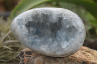 Natural Crystal Centred Blue Celestite Eggs  x 3 From Sakoany, Madagascar - Toprock Gemstones and Minerals 