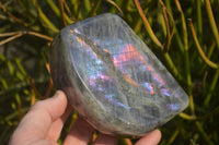 Polished Rare Purple Flash Labradorite Standing Free Forms x 2 From Tulear, Madagascar