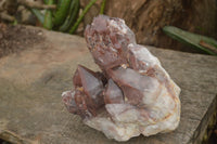 Natural Red Hematoid Quartz Specimen x 1 From Karoi, Zimbabwe - TopRock