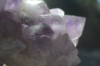 Natural Jacaranda Amethyst Cluster x 1 From Zambia - Toprock Gemstones and Minerals 