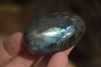 Polished Labradorite Palm Stones  x 20 From Tulear, Madagascar