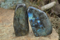 Polished Flashy Labradorite Standing Free Forms  x 3 From Tulear, Madagascar - TopRock