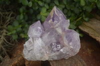 Natural Jacaranda Amethyst Clusters  x 2 From Zambia - Toprock Gemstones and Minerals 