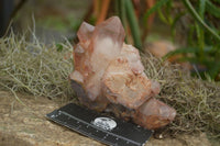 Natural Hematoid Quartz Specimens  x 4 From Zimbabwe - TopRock