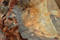 Polished Extra Large Agate Geode With A Crystalline Centre  x 1 From Maintirano, Madagascar - TopRock