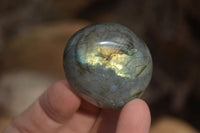 Polished Labradorite Palm Stones  x 20 From Tulear, Madagascar