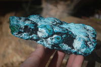 Natural Malacholla (Malachite & Chrysocolla) Specimens  x 3 From Congo