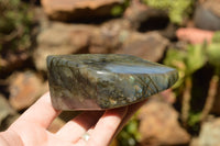 Polished Labradorite Standing Free Forms With Blue & Gold Flash  x 2 From Tulear, Madagascar - TopRock