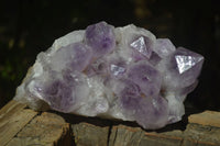 Natural Jacaranda Amethyst Cluster x 1 From Zambia - Toprock Gemstones and Minerals 