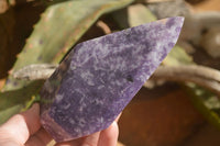 Polished  Stunning Lepidolite Standing Free Forms  x 2 From Zimbabwe