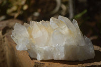 Natural Clear Quartz Clusters & Crystals  x 12 From Madagascar