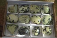 Polished Spotted Leopard Stone Free Forms  x 12 From Zimbabwe