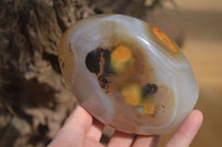 Polished Agate Standing Free Forms x 3 From Madagascar