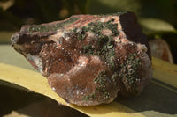 Natural Drusy Coated Dolomite With Hematite & Libethenite Specimens  x 4 From Congo