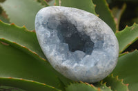 Natural Crystal Centred Blue Celestite Eggs  x 3 From Sakoany, Madagascar - Toprock Gemstones and Minerals 