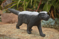 Polished Soap Stone Honey Badger Carving - Sold per piece - From Zimbabwe - TopRock