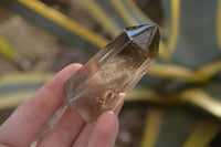 Polished Wispy Phantom Smokey Quartz Points x 6 From Madagascar