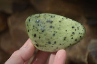 Polished  Green Leopard Stone Free Forms  x 6 From Zimbabwe